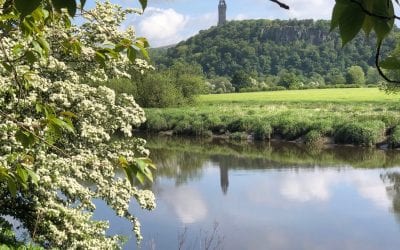 Stirling walks: Riverside – meander alongside the River Forth